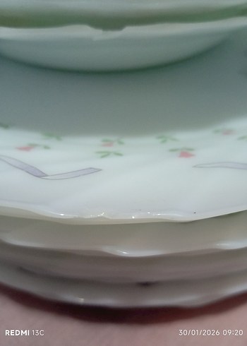 Pastel Pembe Desenli Yemek servisTabağı Seti - Görsel 6