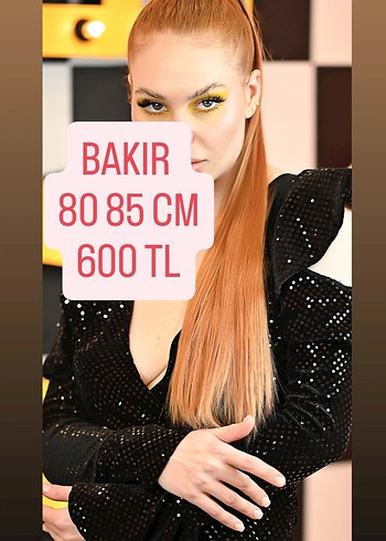 PERUK BAKIR AT KUYRUĞU
