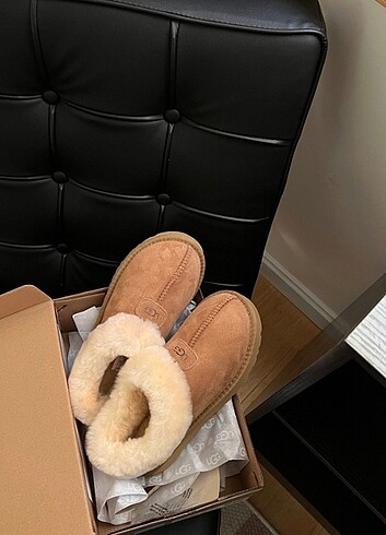 Ugg Bot 