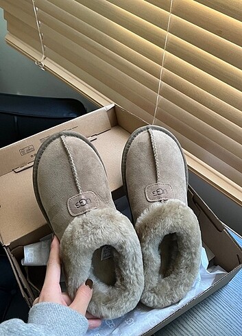 Ugg Bot