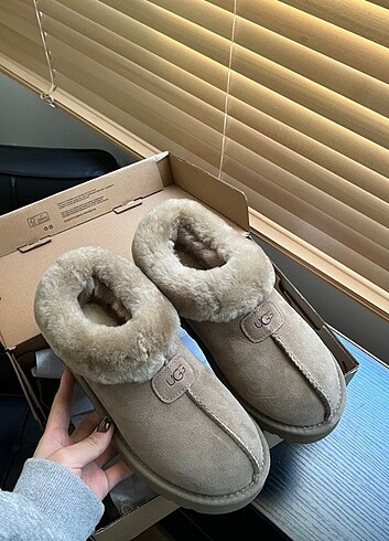 Ugg Ugg Bot