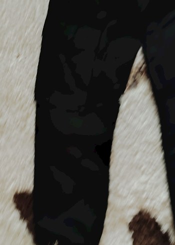 38 Beden siyah Renk kargo siyah pantalon