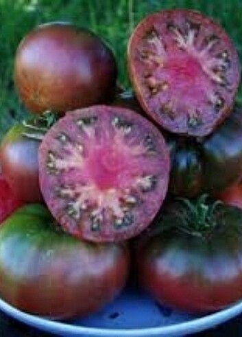 BLACK KRIM DOMATES TOHUMU 25 TOHUM 