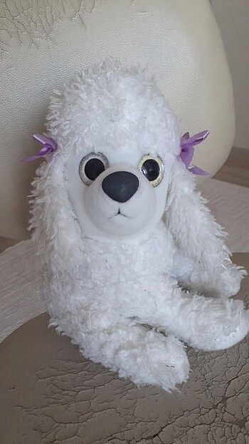 Pelus kopek
