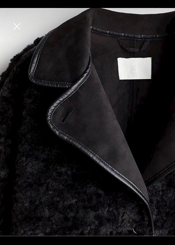 Siyah Kürklü Kaban - Görsel 2