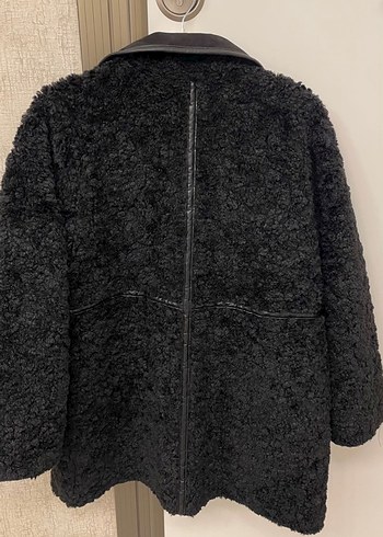 Siyah Kürklü Kaban - Görsel 4