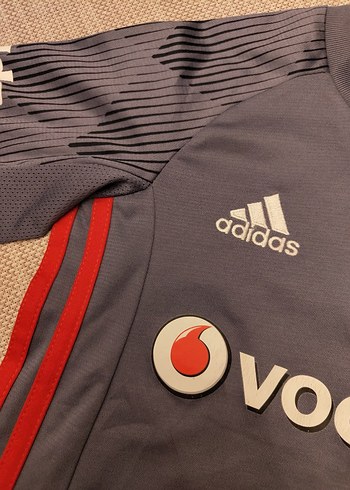 xs Beden gri Renk Erkek Gri Kısa Kollu Beşiktaş Forma