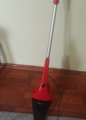 dik Süpürge - Görsel 2