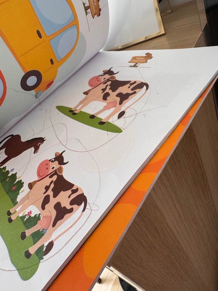 Zihinsel Gelişim Etkinlikleri Seti 3 Kitap - Görsel 4