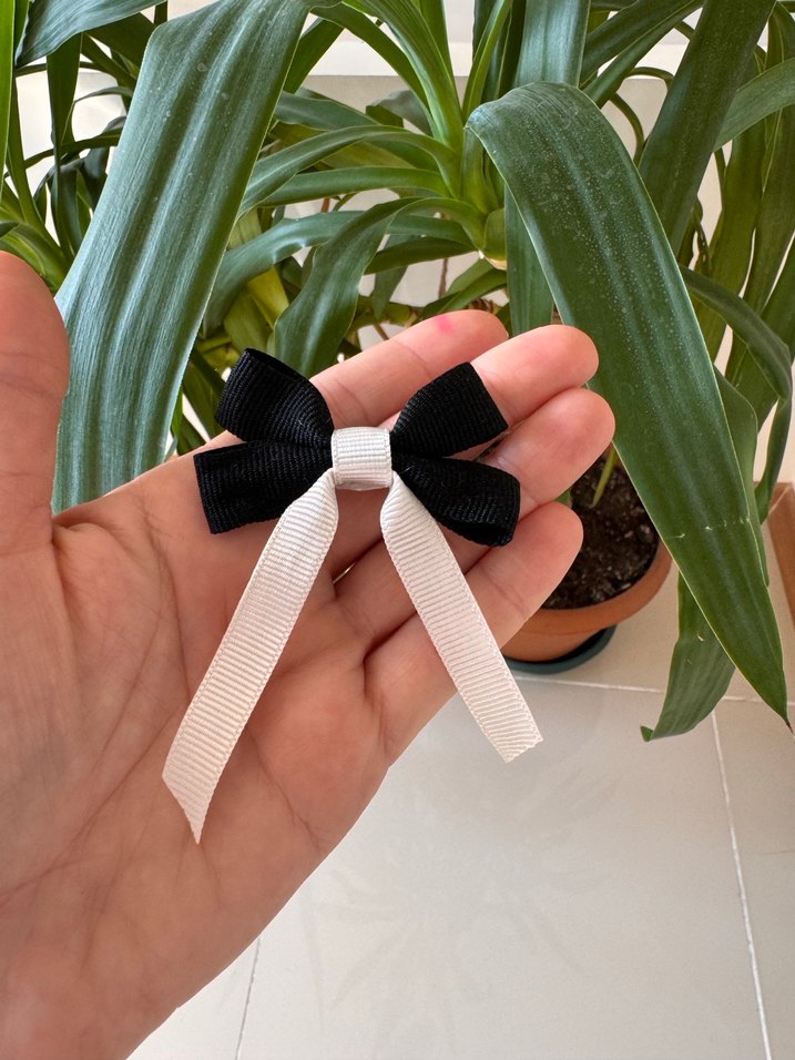 Siyah Beyaz kurdele toka - Görsel 4