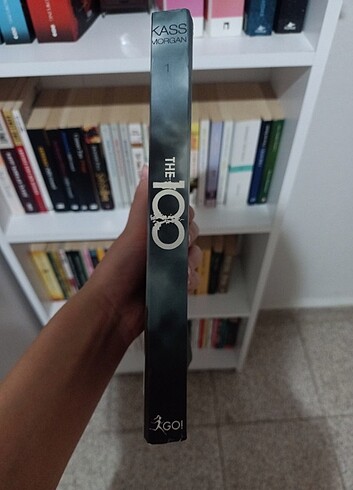 The100 