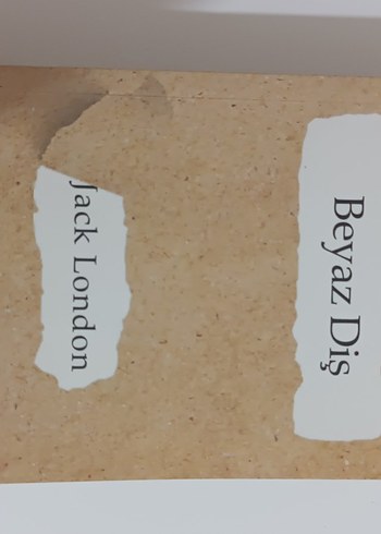  Beden Sabahattin Ali ve Diğer Yazarların Romanları