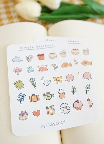 Beden Simple-3