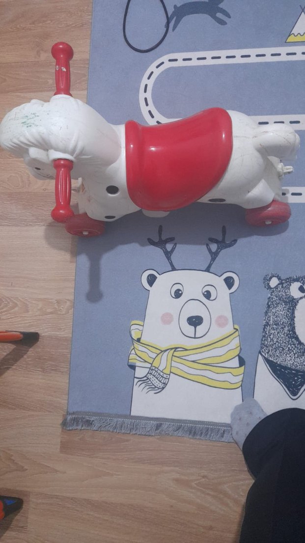 oyuncak at. herhangi bir problemi yoktur - Görsel 2