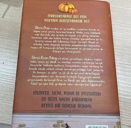  Beden Renk Balkabağı ve Tarçın