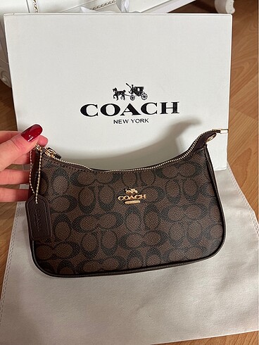 Coach Teri
