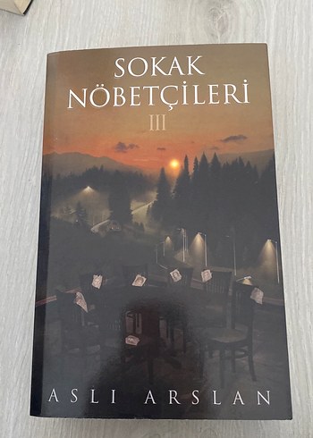  Beden Sokak Nöbetçileri Serisi - Aslı Arslan