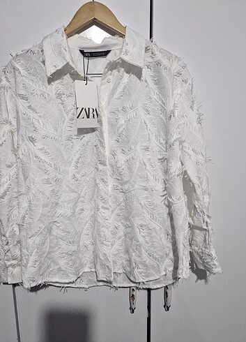 Zara m