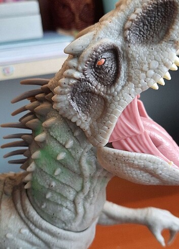  Beden Renk İndominus Rex
