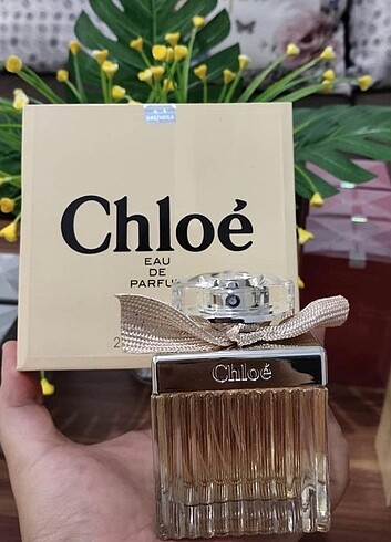 Chloe 