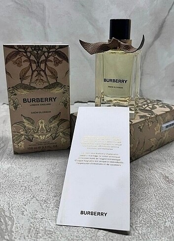 Burberry london england