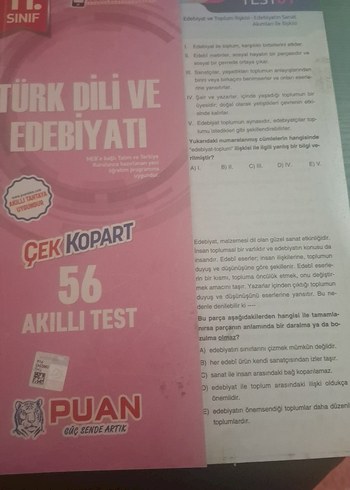 11. Sınıf Türk Dili ve Edebiyatı Akıllı Test Kitabı
