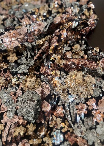 Payetli Nakışlı Uzun Gece -Abiye Elbise - Görsel 8