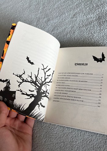 Beyaz Kanatlı Vampir Romanı-Başım Dertte 1 - Görsel 4