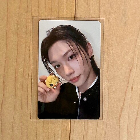 Felix Tamagotchi Fotokart