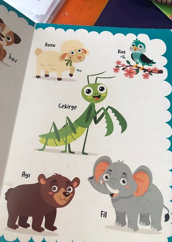  Bebeğim İlk Keşifler Kitabı - ormanda ilkbaha bak bul