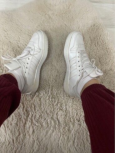 Adidas hoops 2.0