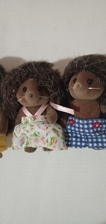Sylvanian ailesi