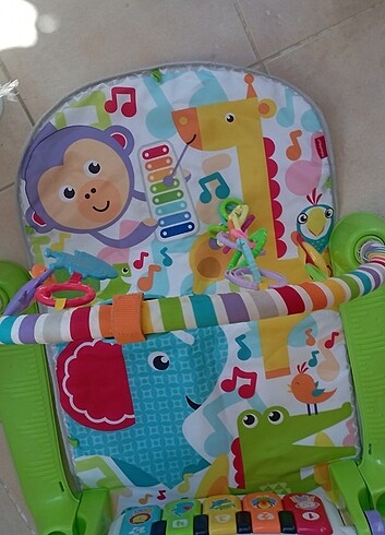 15-36 kg Beden çeşitli Renk Fisher price oyun halisi