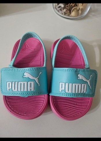 Puma 22