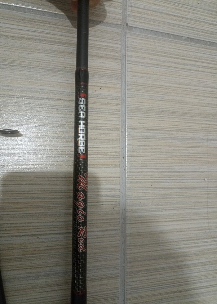 Spin kamış  - Görsel 4