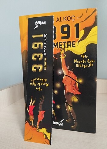 3391 kilometre kitabı