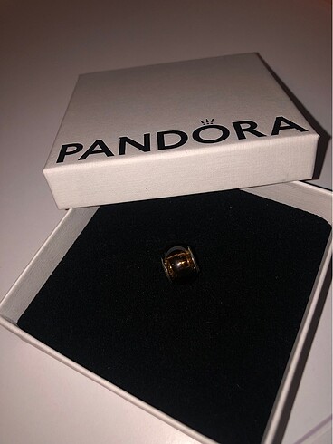 Pandora pandora charm