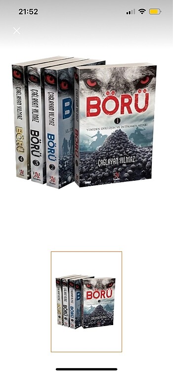 KİTAP BÖRÜ