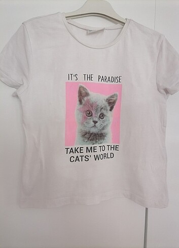 LC Waikiki Çocuk kedili tişört 