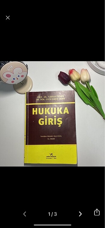 Turhan Esener - Hukuka Giriş