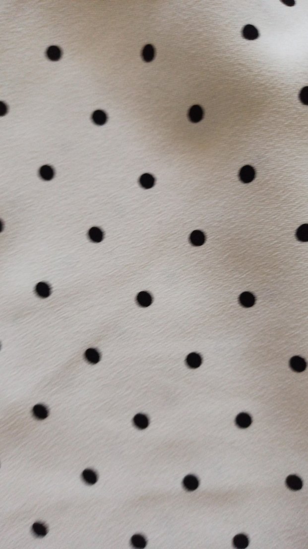 Mango Beyaz Puantiyeli Düğmeli Köpek Kıyafeti - Görsel 3