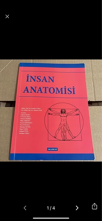 İnsan anatomisi akademi