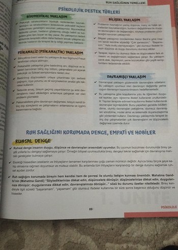 AYT Felsefe Analizi Video Ders Kitabı - Görsel 2