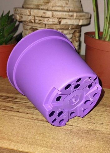 25 Adet 7x8'lik saksı - Görsel 2