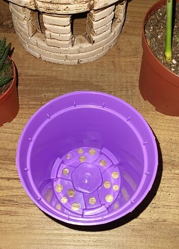 25 Adet 7x8'lik saksı - Görsel 3