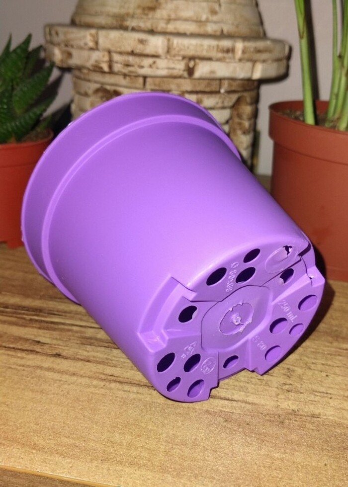 25 Adet 7x8'lik saksı - Görsel 2