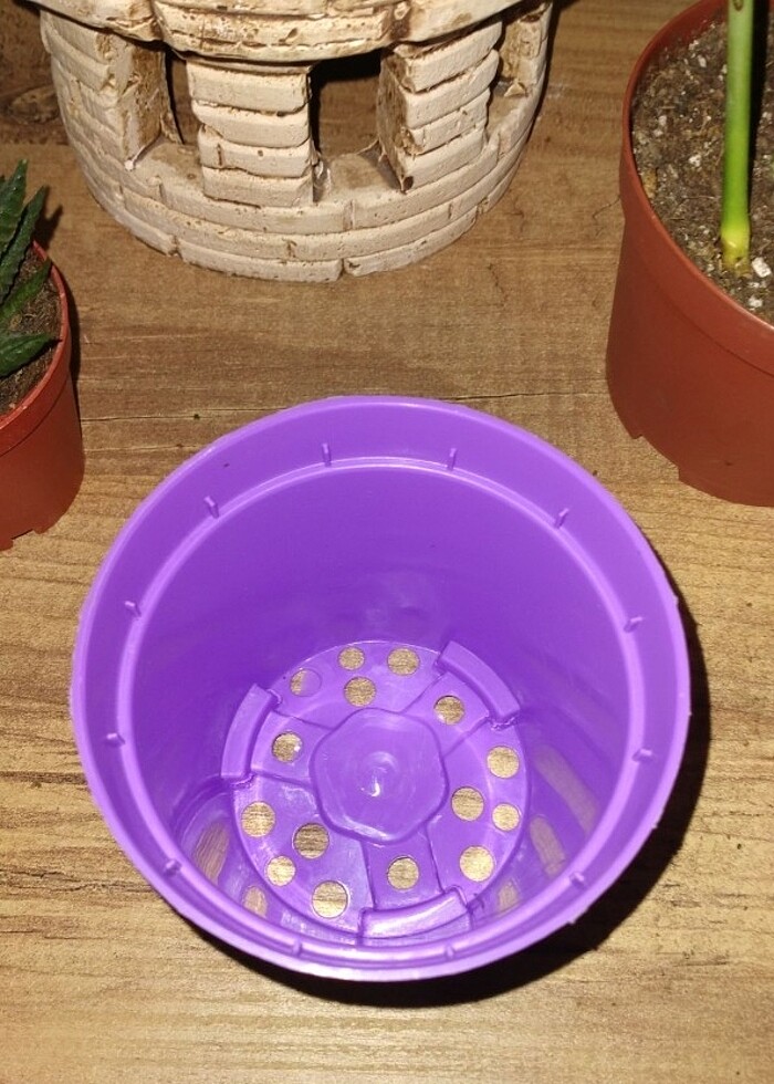 25 Adet 7x8'lik saksı - Görsel 3