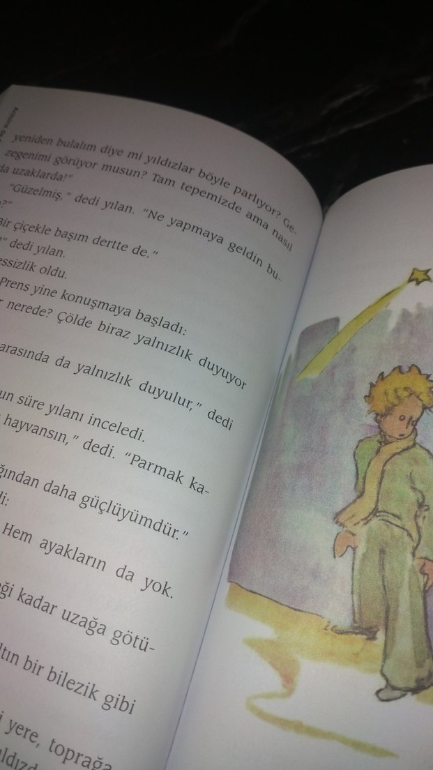 Küçük Prens - Cemal Süreya & Tomris Uyar Çevirisi - Görsel 3