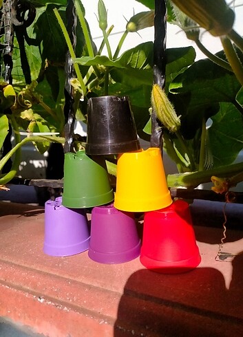 15 adet 5,5 cm saksı