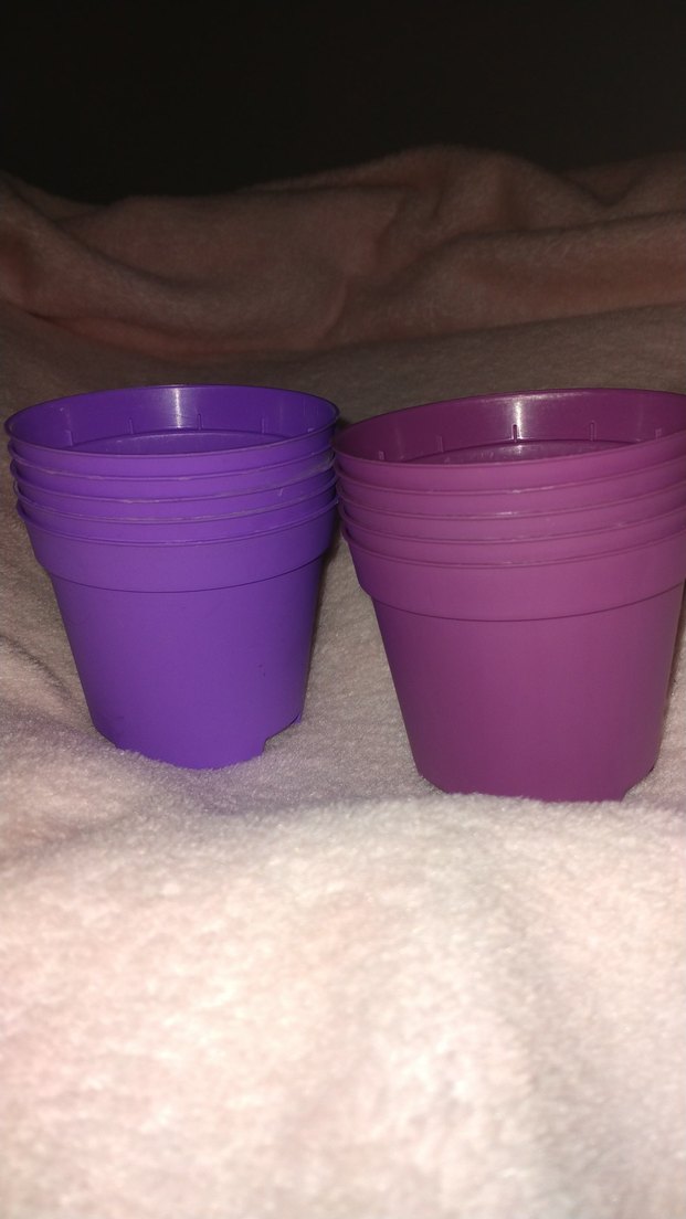 7x8 cm'lik mor saksı - Görsel 2